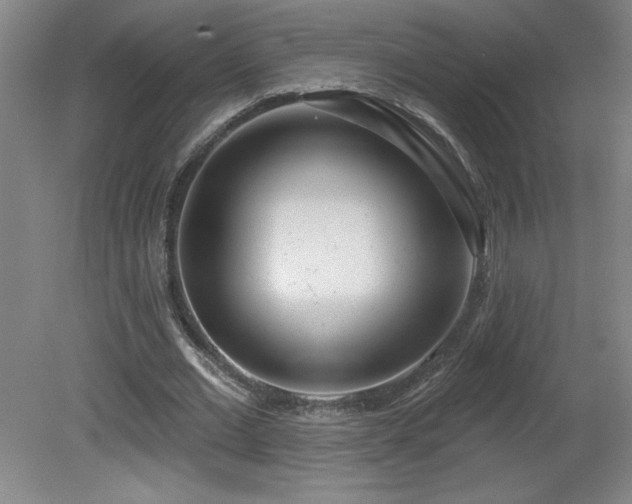 X0000082160677200701191242