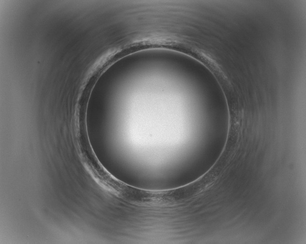 X0000082160678200701191242