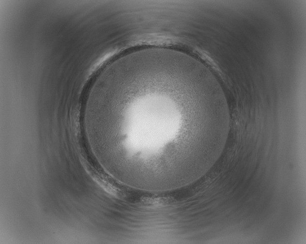 X0000082160679200701191242