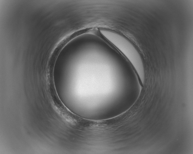 X0000082160680200701191242