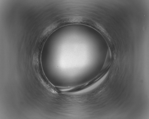 X0000082160681200701191242
