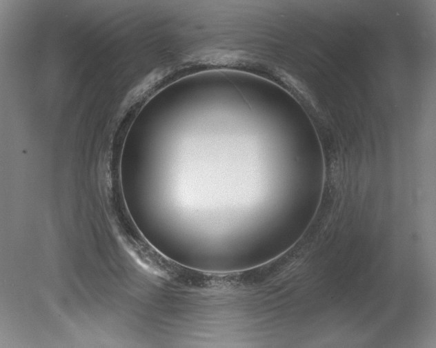 X0000082160682200701191242