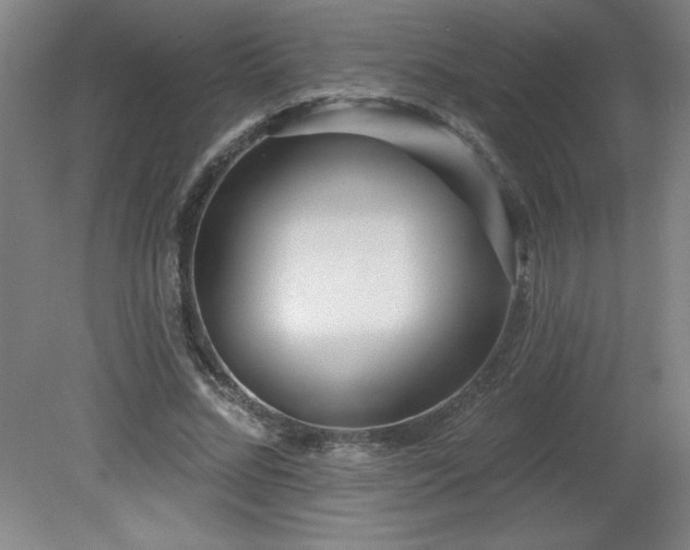 X0000082160684200701191242