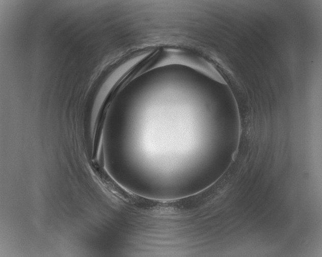 X0000082160685200701191242