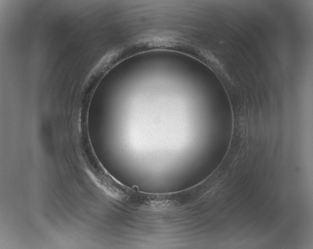 X0000082160686200701191242