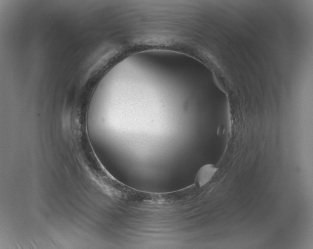 X0000082160688200701191242