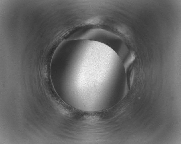 X0000082160689200701191242