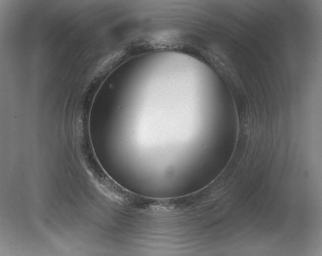 X0000082160690200701191242