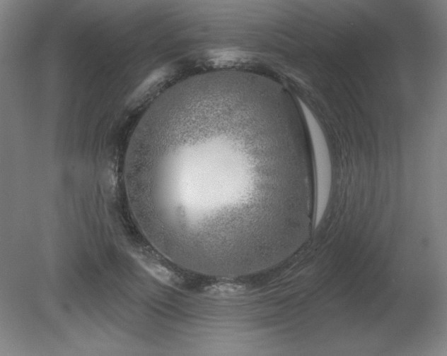 X0000082160691200701191242