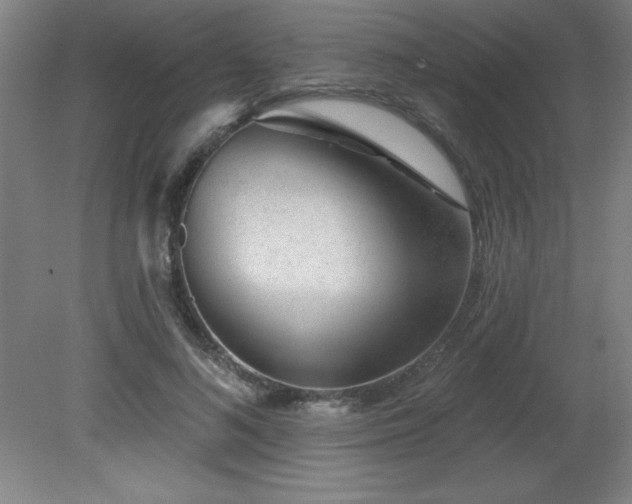 X0000082160692200701191242