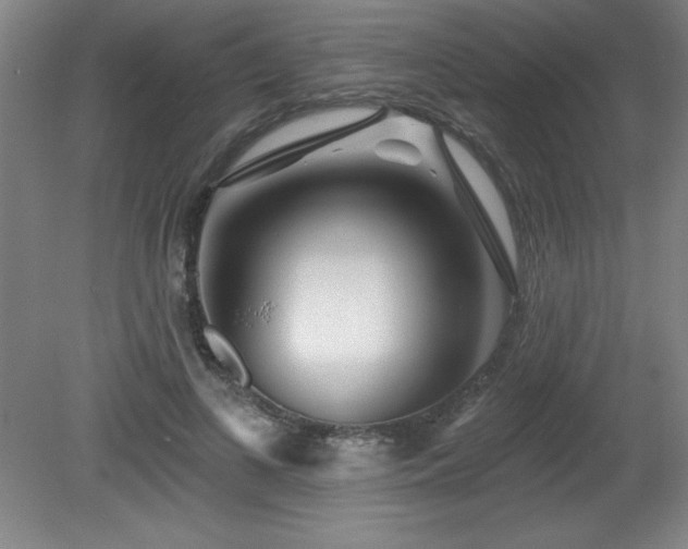 X0000082160693200701191242