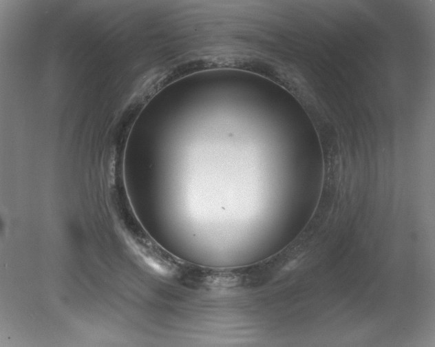 X0000082160694200701191242