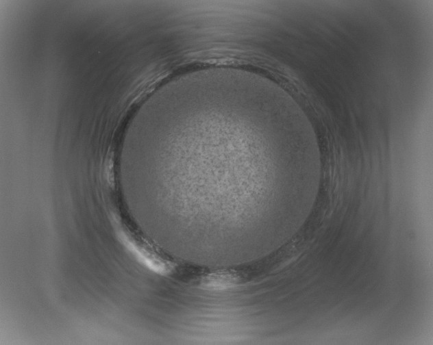 X0000082160696200701191242