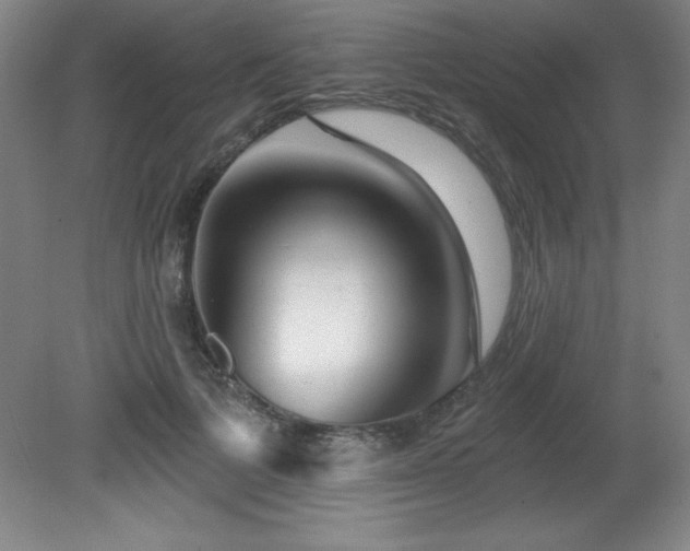 X0000082160697200701191242
