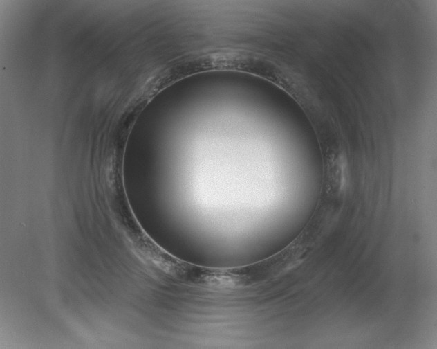X0000082160698200701191242