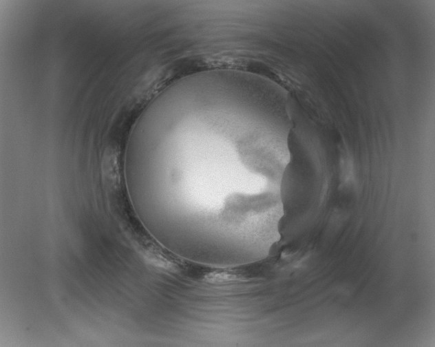 X0000082160699200701191242
