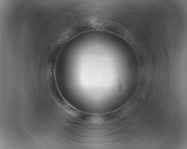 X0000082160702200701191242