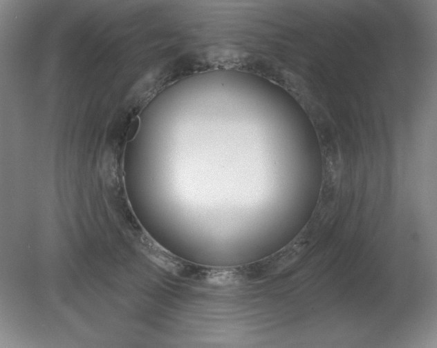X0000082160705200701191242