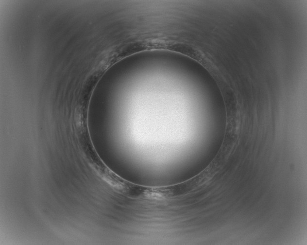 X0000082160706200701191242