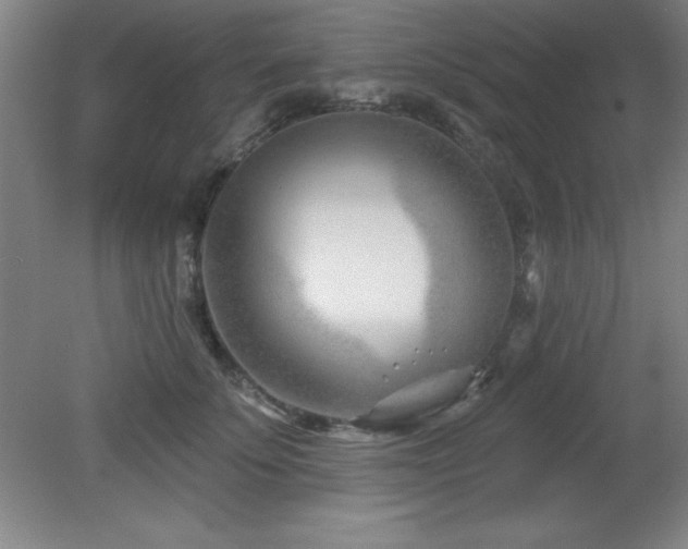 X0000082160707200701191242