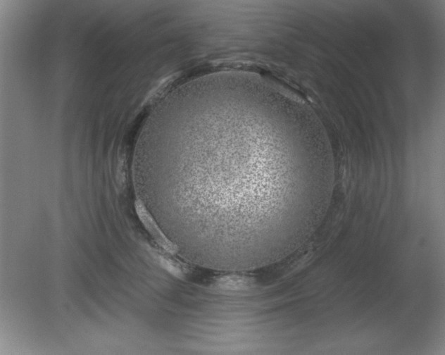 X0000082160708200701191242