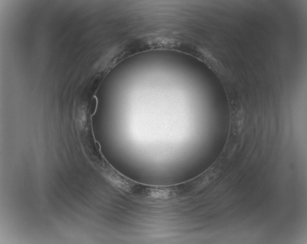 X0000082160709200701191242