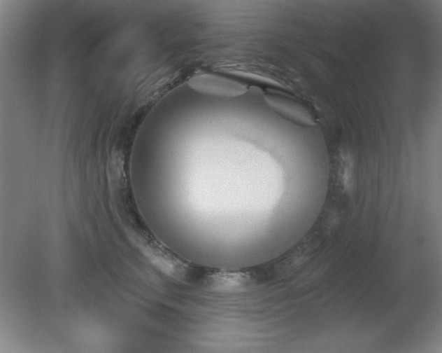 X0000082160711200701191242