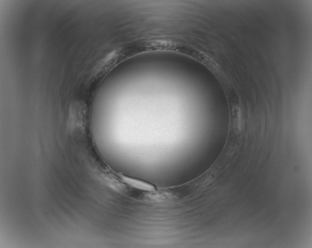 X0000082160712200701191242