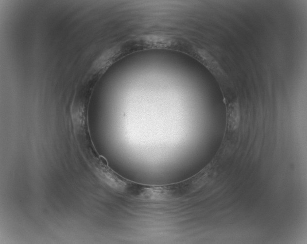 X0000082160713200701191241
