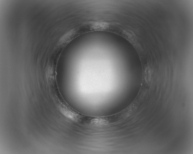 X0000082160714200701191241