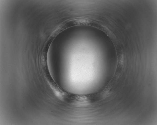 X0000082160715200701191241