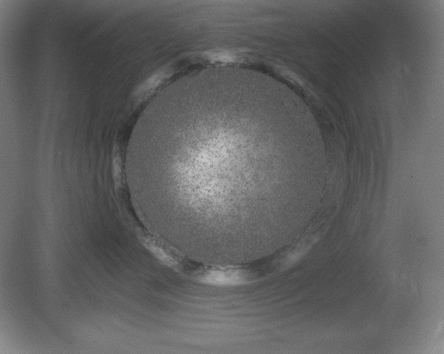 X0000082160720200701191241