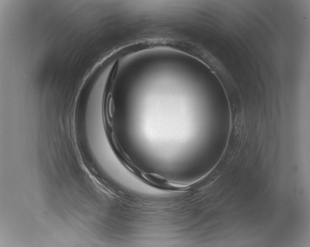 X0000082160722200701191241