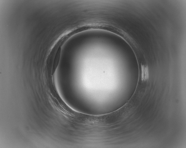 X0000082160723200701191241