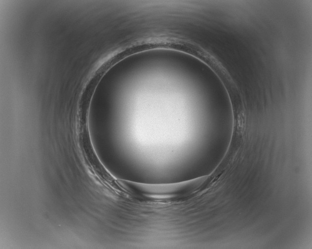 X0000082160724200701191241