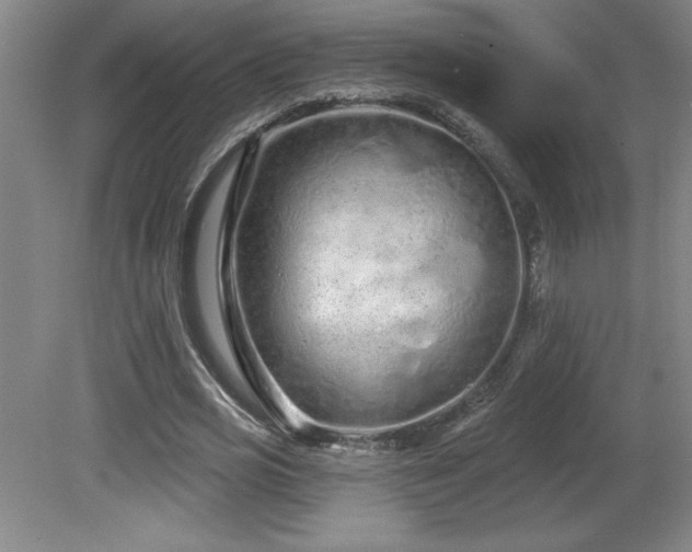 X0000082160725200701191241