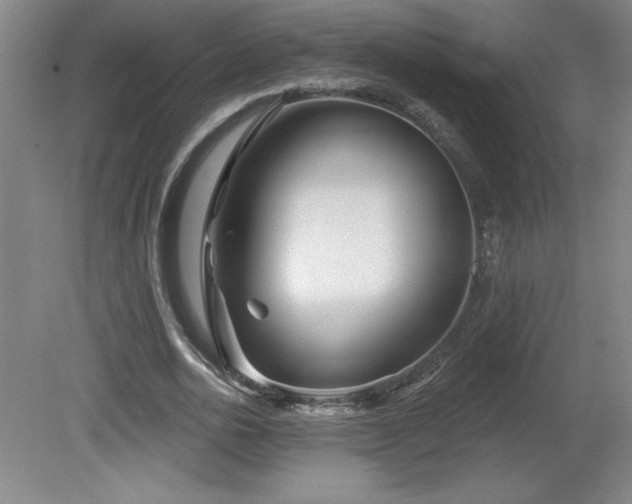 X0000082160726200701191241
