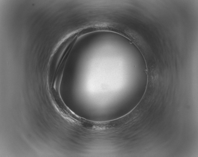 X0000082160728200701191241