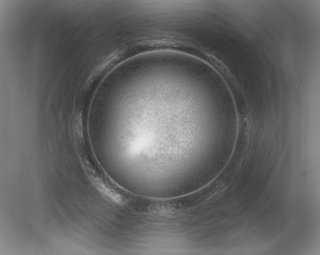 X0000082160729200701191241