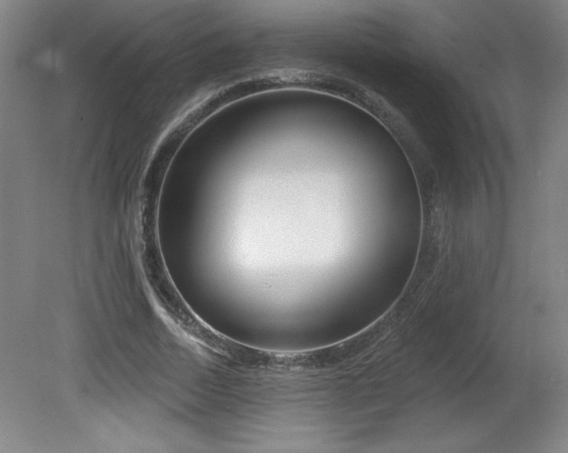 X0000082160730200701191241