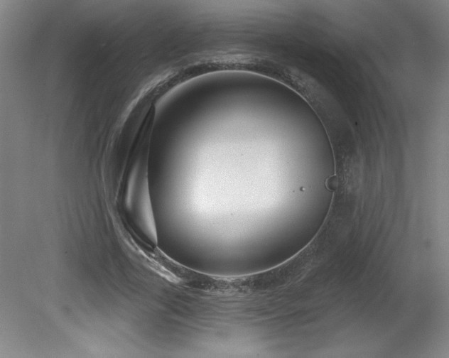 X0000082160731200701191241