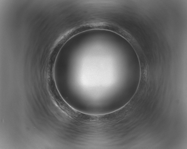 X0000082160732200701191241