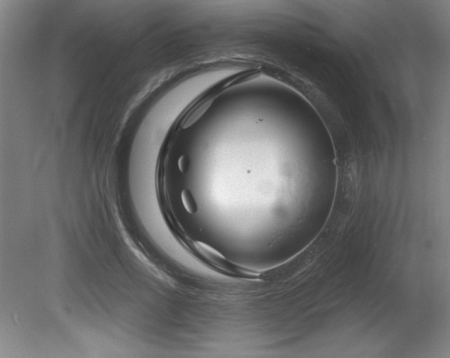 X0000082160734200701191241