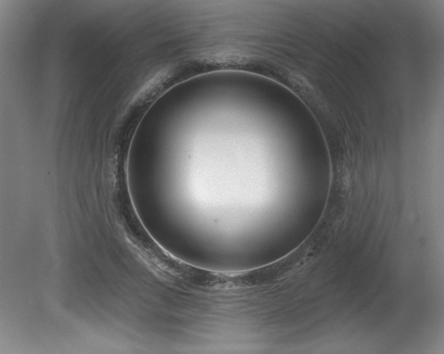 X0000082160735200701191241