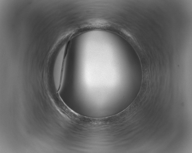 X0000082160736200701191241