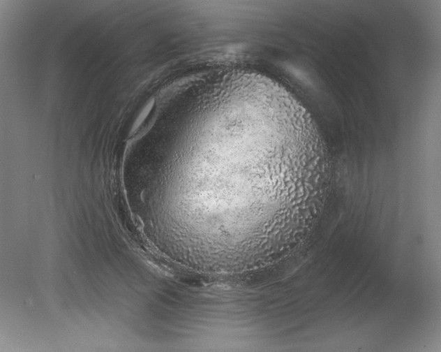 X0000082160737200701191241