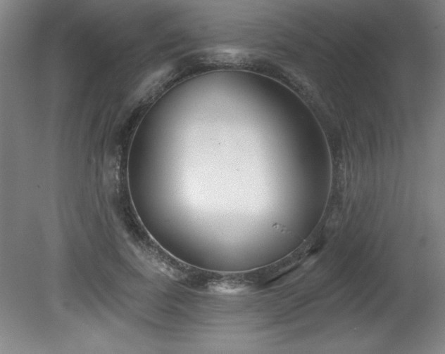 X0000082160739200701191241