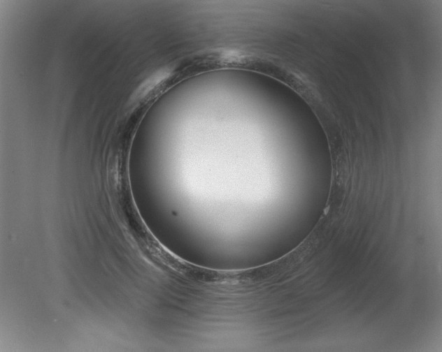 X0000082160740200701191241