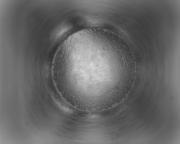 X0000082160741200701191241