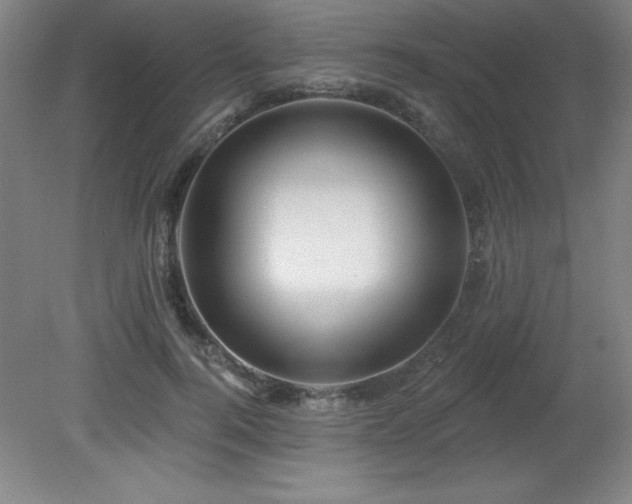 X0000082160744200701191241
